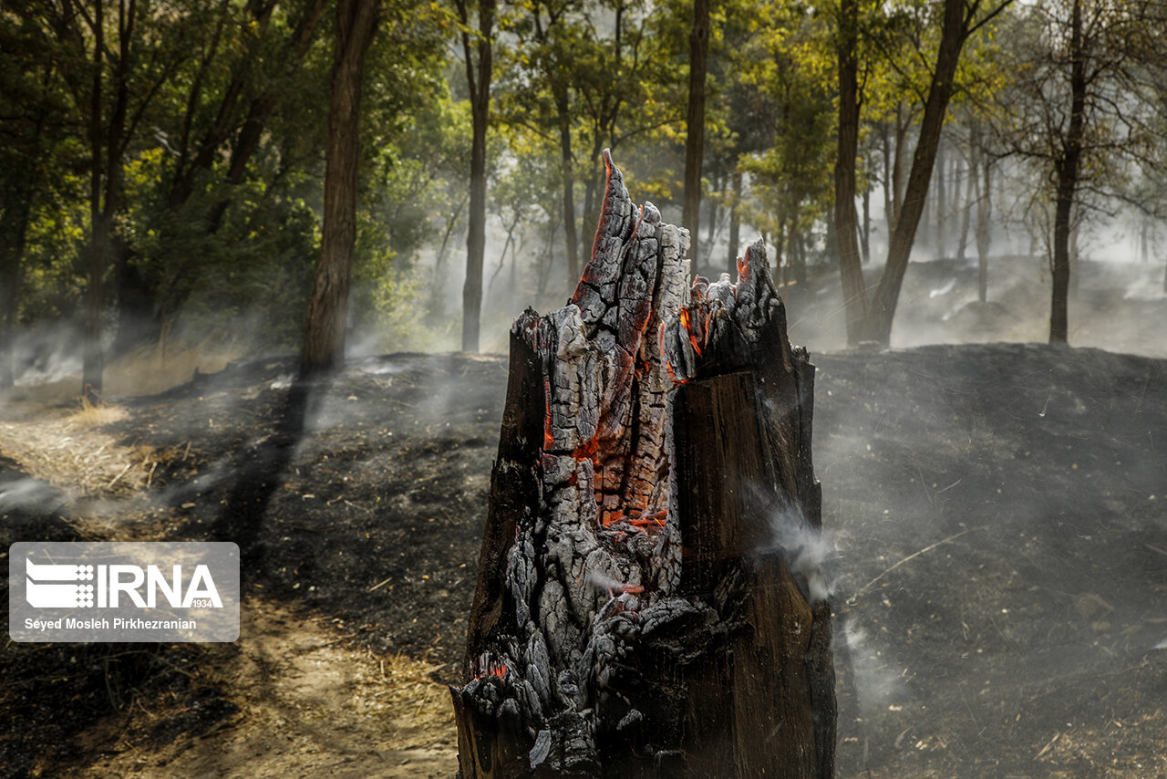 کاهش ۶۰ درصدی آتش‌سوزی در مناطق جنگلی کشور
