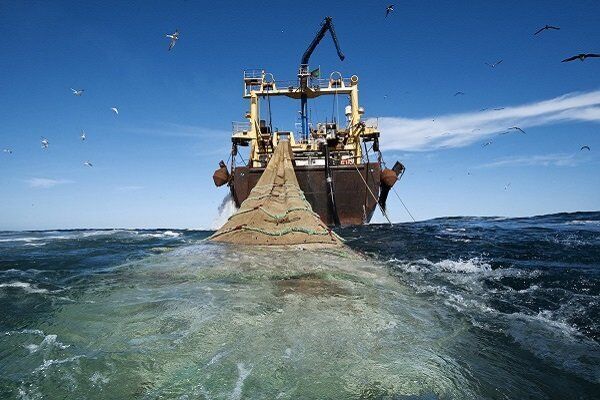 مجلس اجازه راه‌اندازی مجدد صید ترال صنعتی را نمی‌دهد/ ذخایر ماهیان تجاری ما بحرانی است